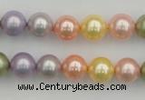 CSB330 15.5 inches 10mm round mixed color shell pearl beads