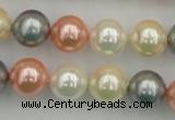 CSB355 15.5 inches 12mm round mixed color shell pearl beads