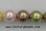 CSB393 15.5 inches 16mm round mixed color shell pearl beads