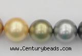 CSB395 15.5 inches 16mm round mixed color shell pearl beads