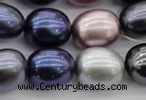 CSB680 15.5 inches 16*19mm oval mixed color shell pearl beads