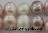 CSB713 15.5 inches 16*19mm oval mixed color shell pearl beads