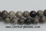 CSL01 15.5 inches 8mm round silver leaf jasper beads wholesale