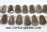 CTD2335 Top drilled 16*18mm - 20*30mm faceted freeform moonstone beads