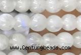 CTG1580 15.5 inches 4mm round white moonstone beads wholesale