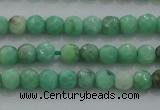 CTG225 15.5 inches 3mm faceted round tiny grass agate beads