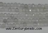 CTG612 15.5 inches 2mm faceted round labradorite beads