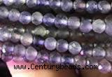 CTG750 15.5 inches 2mm faceted round tiny iolite beads wholesale