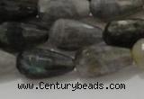 CTR120 15.5 inches 10*20mm faceted teardrop labradorite beads