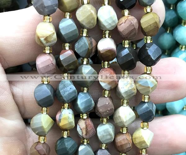 CTW574 8mm faceted & twisted S-shaped American picture jasper beads