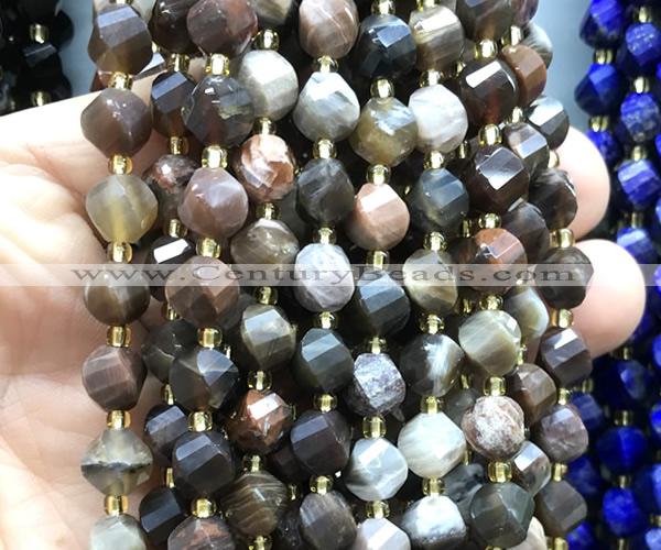 CTW575 15 inches 8mm faceted & twisted S-shaped wooden jasper beads