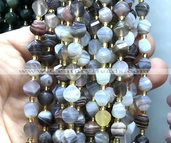 CTW584 8mm faceted & twisted S-shaped Botswana agate beads