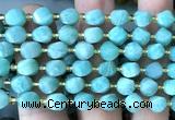 CTW595 15 inches 8mm faceted & twisted S-shaped amazonite beads