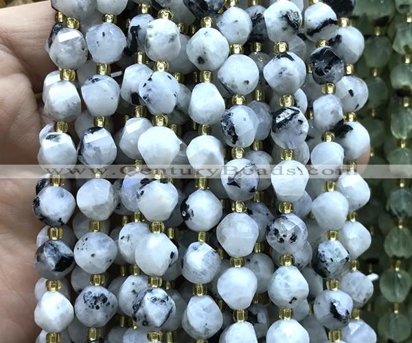 CTW600 15 inches 8mm faceted & twisted S-shaped white moonstone beads