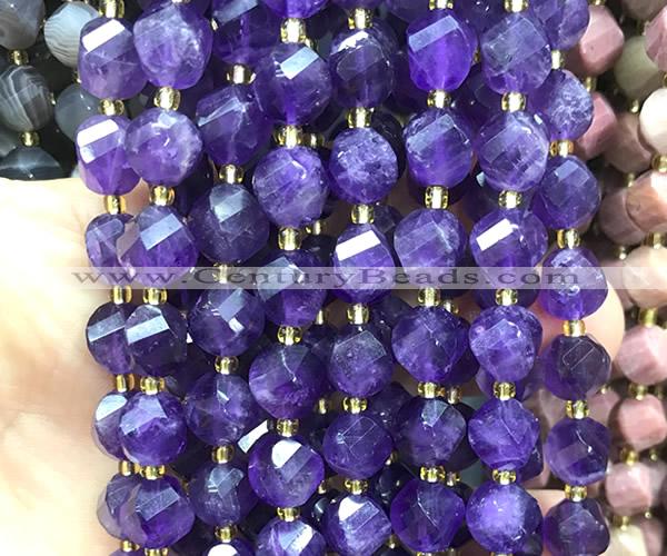 CTW654 15 inches 10mm faceted & twisted S-shaped amethyst beads