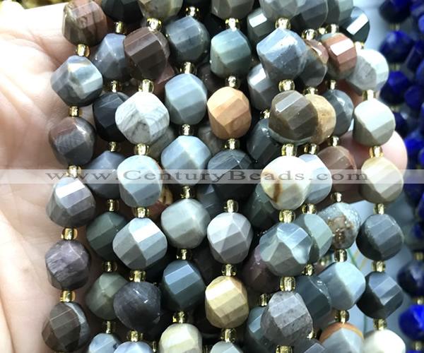 CTW674 10mm faceted & twisted S-shaped American picture jasper beads