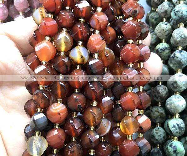 CTW687 15 inches 10mm faceted & twisted S-shaped red agate beads