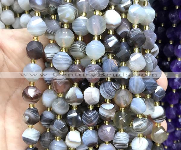 CTW690 10mm faceted & twisted S-shaped Botswana agate beads