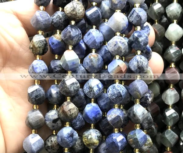 CTW691 10mm faceted & twisted S-shaped sunset dumortierite beads
