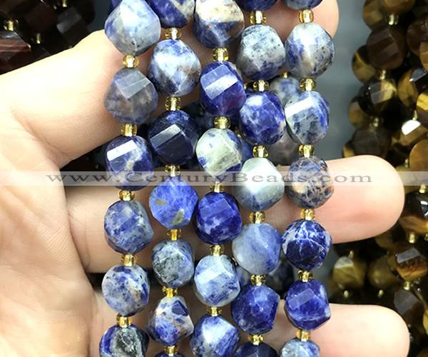 CTW692 15 inches 10mm faceted & twisted S-shaped orange sodalite beads