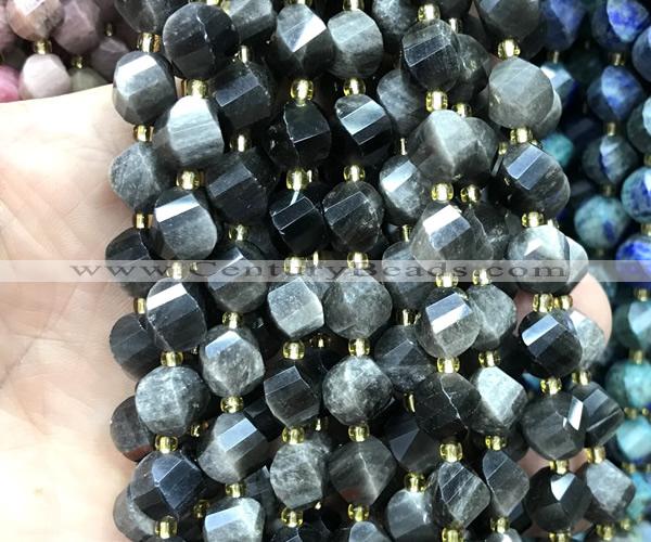 CTW695 15 inches 10mm faceted & twisted S-shaped silver obsidian beads