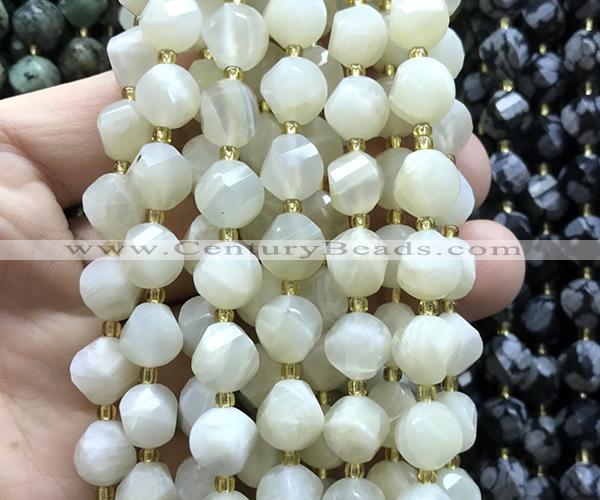 CTW704 15 inches 10mm faceted & twisted S-shaped white moonstone beads