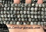 CZJ411 15.5 inches 6mm round green zebra jasper beads wholesale