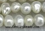 FWP30 14.5 inches 4.5mm potato white freshwater pearl strands